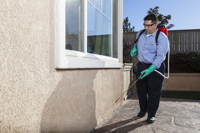 Pest control marketing agency UK — Google Ads lead generation