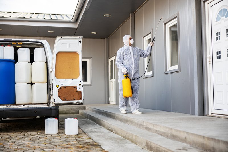 UK pest control marketing case study