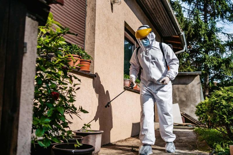 Pest Control SEO: How Pest Control Companies Get Found on Google