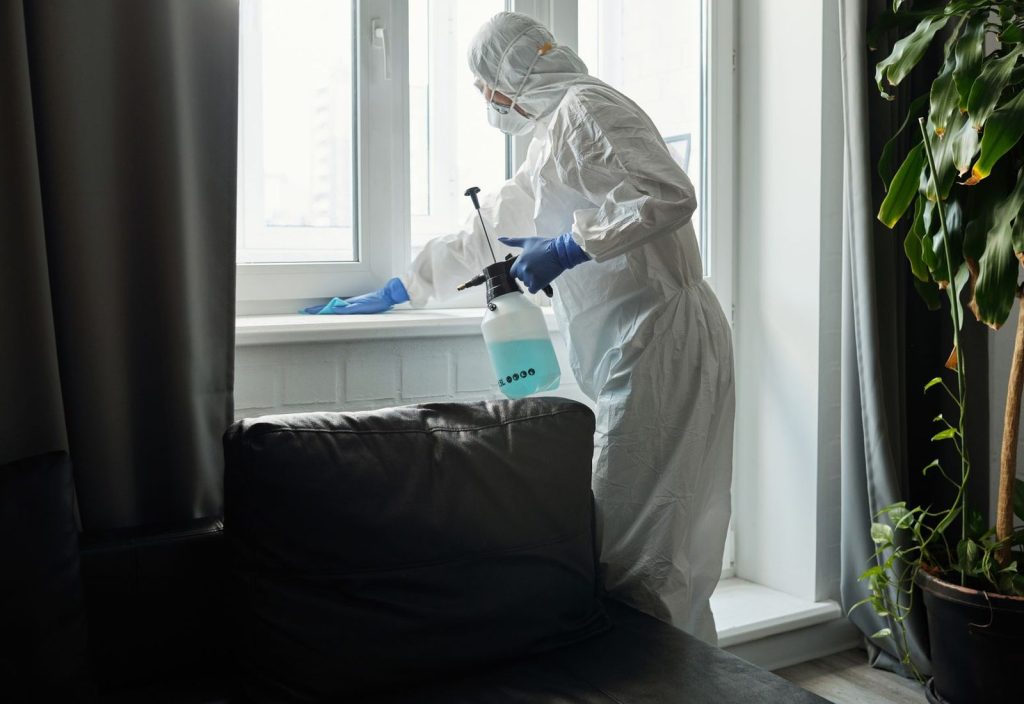 How Much Does Pest Control Marketing Cost in the UK?